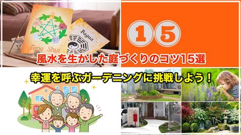 幸運木風水|庭や玄関に植えるといい木10選 【縁起の良い木で風水的にも吉！】